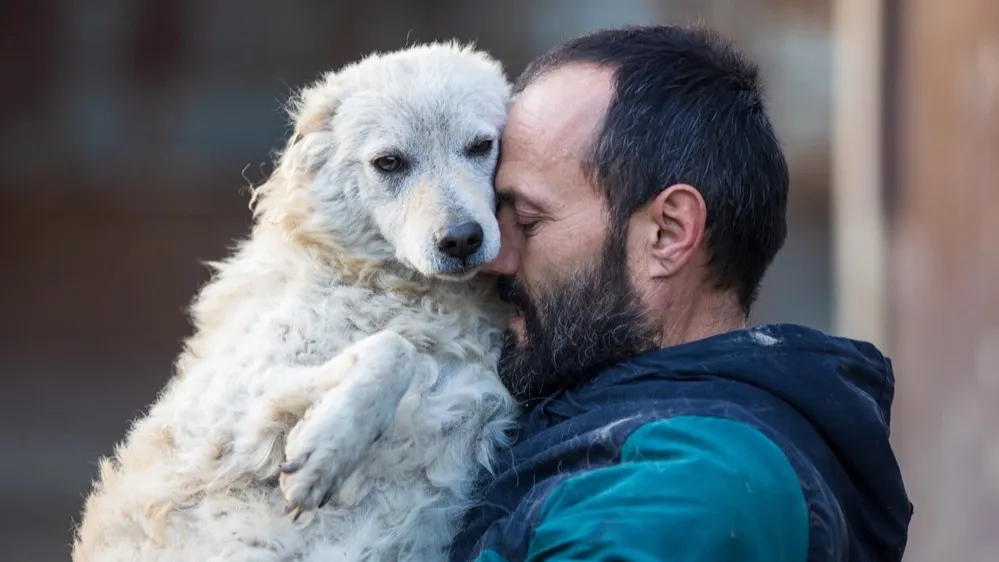 Фото: Budimir Jevtic/Shutterstock/Fotodom