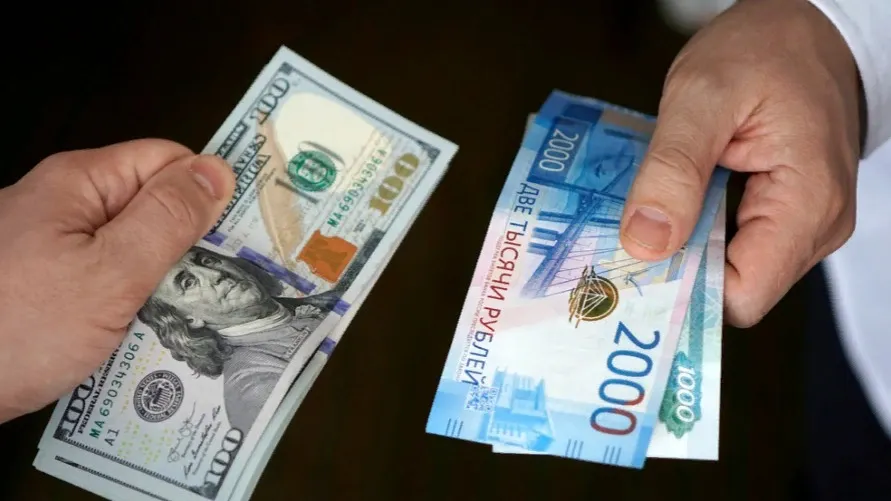 Фото: Diy13/Shutterstock.com