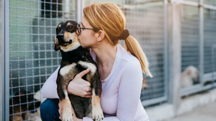 Фото: hedgehog94/Shutterstock/Fotodom