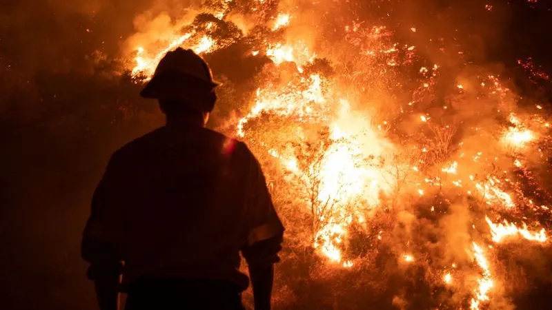 Фото: Matt Gush/Shutterstock/Fotodom