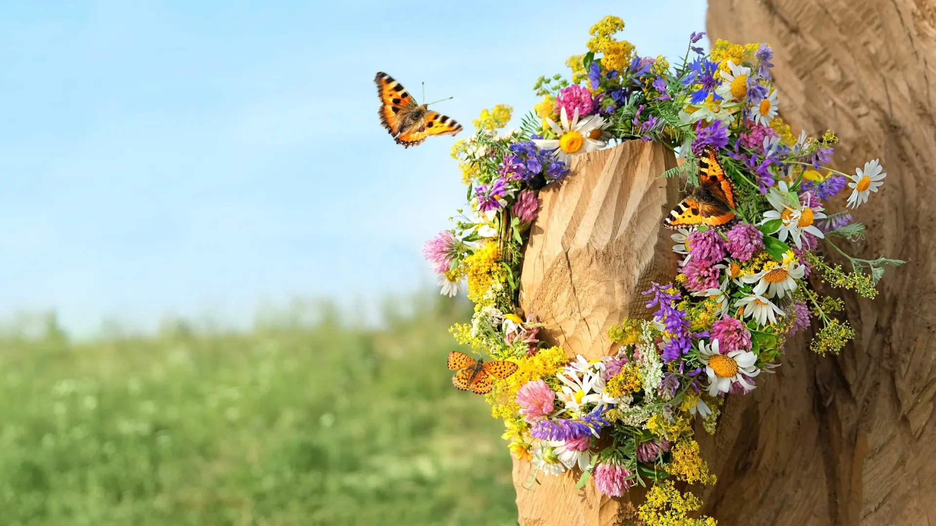 Фото: ju_see/Shutterstock/Fotodom