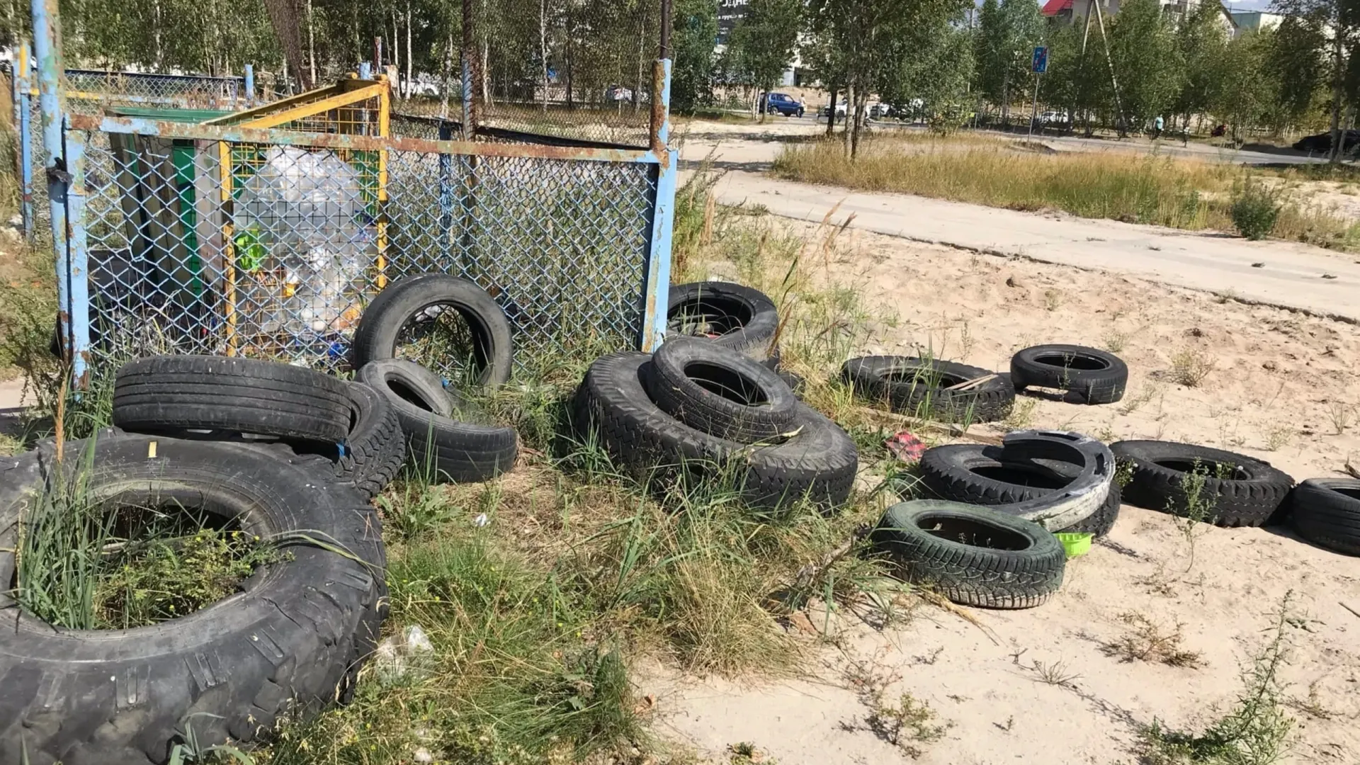 Фото: Наталья Федорова, группа «|НТН| НеТипичный Ноябрьск» во «ВКонтакте»