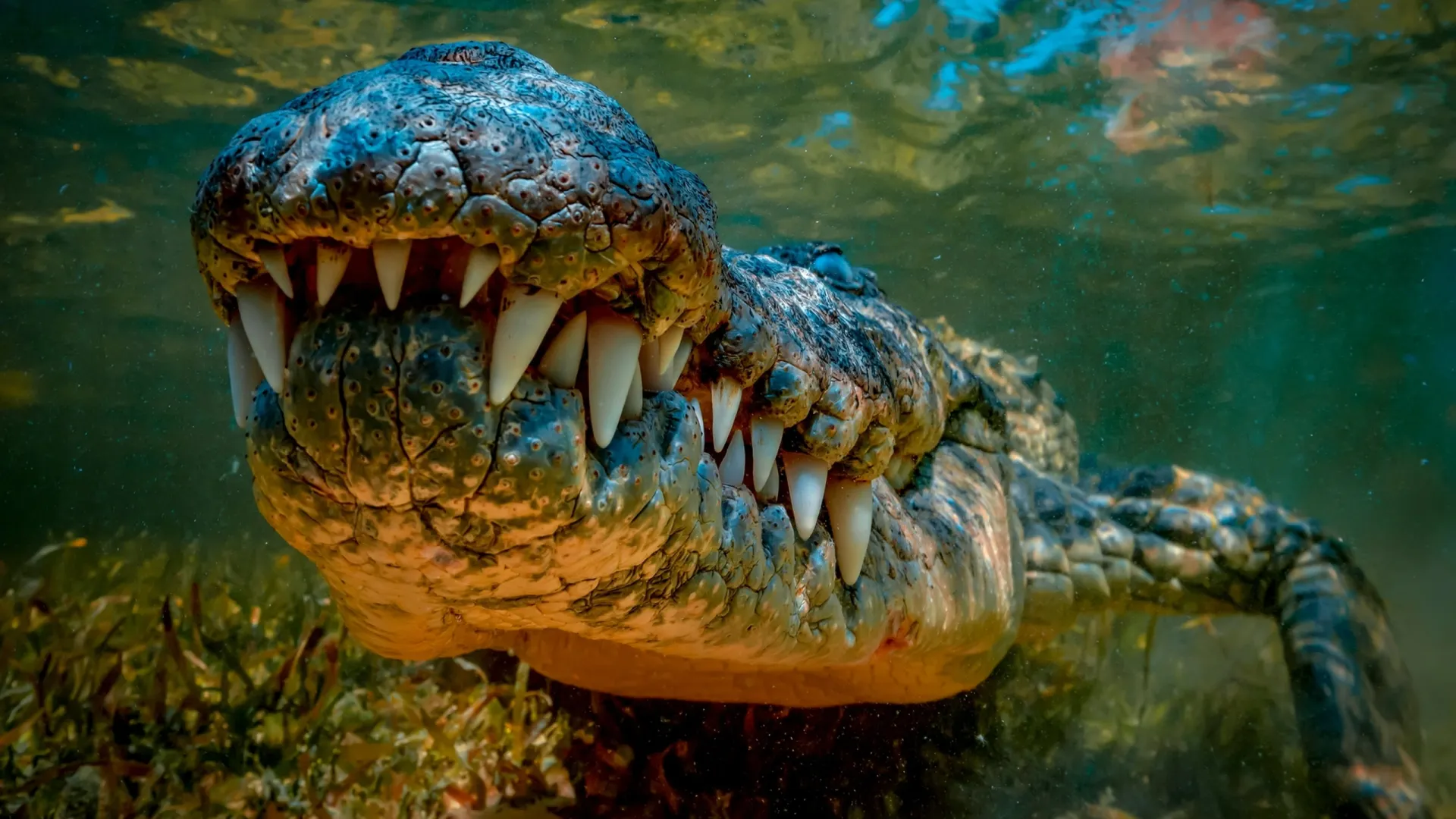 Фото: Nikolay 007/Shutterstock/Fotodom