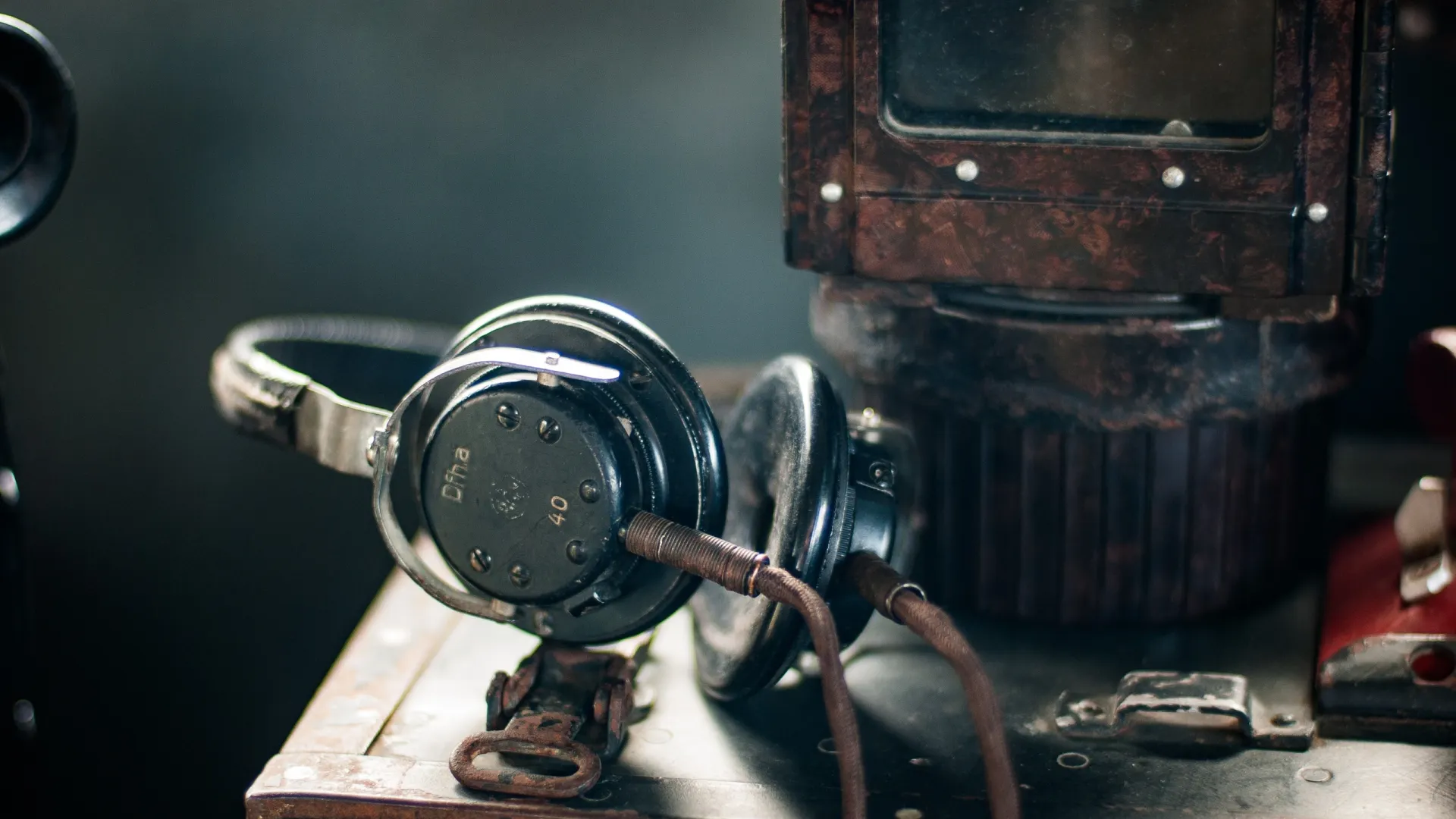 Фото: orso bianco/Shutterstock/Fotodom