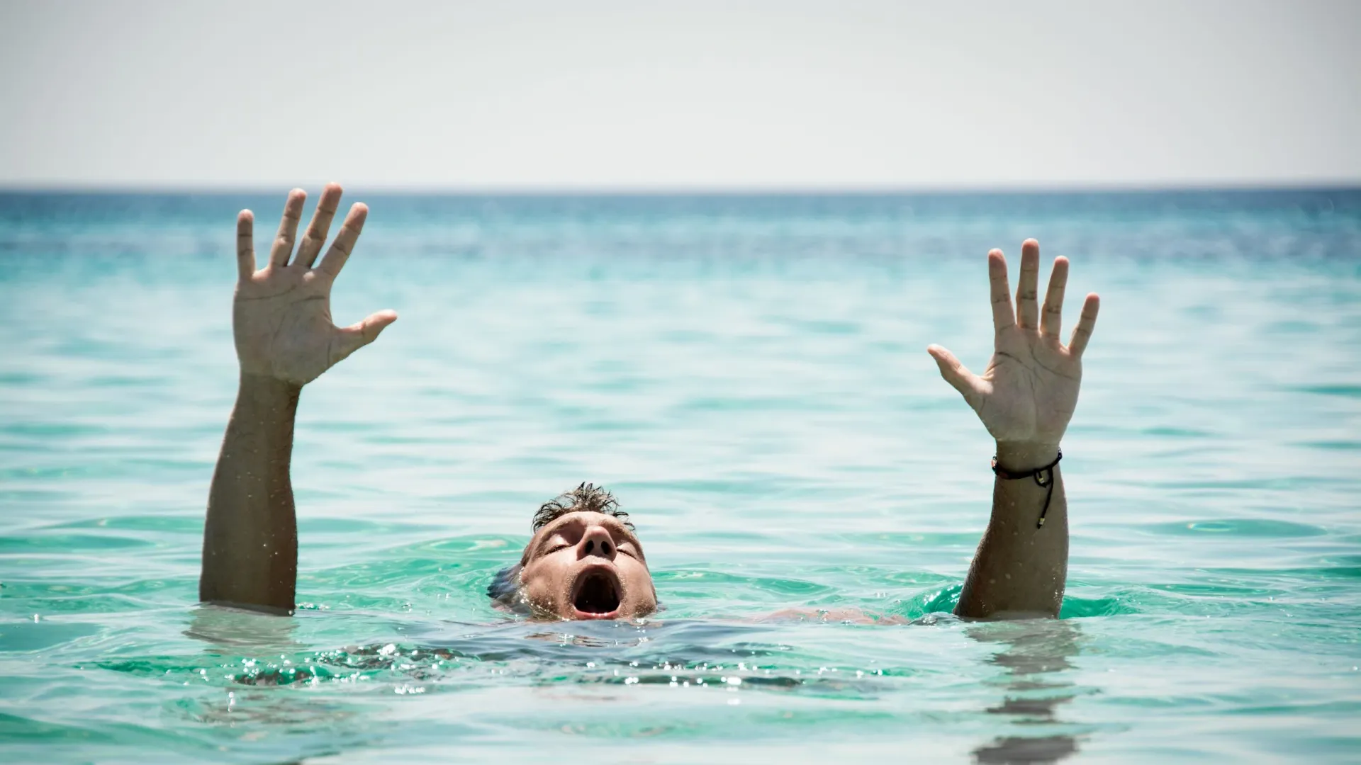 Фото: MilanMarkovic78/Shutterstock/Fotodom