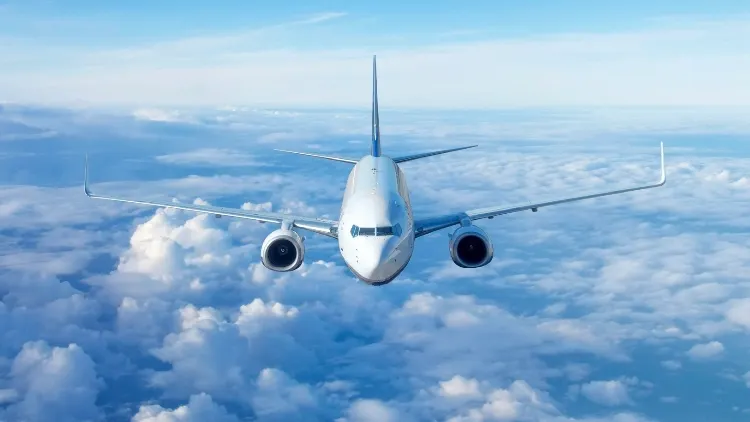 Фото: Aappp/Shutterstock/Fotodom