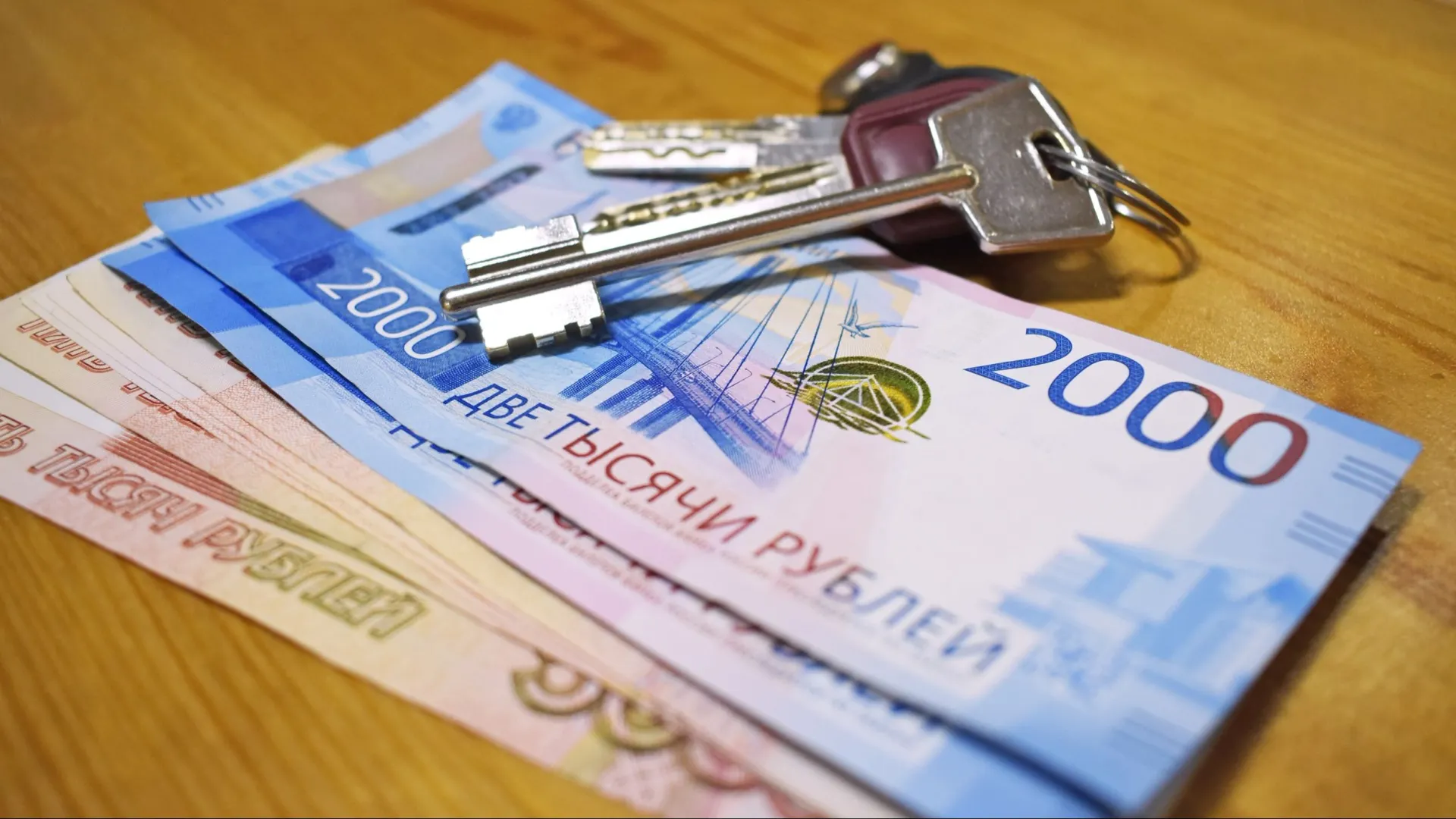 Фото: Anastasiia Tainikova/Shutterstock/Fotodom