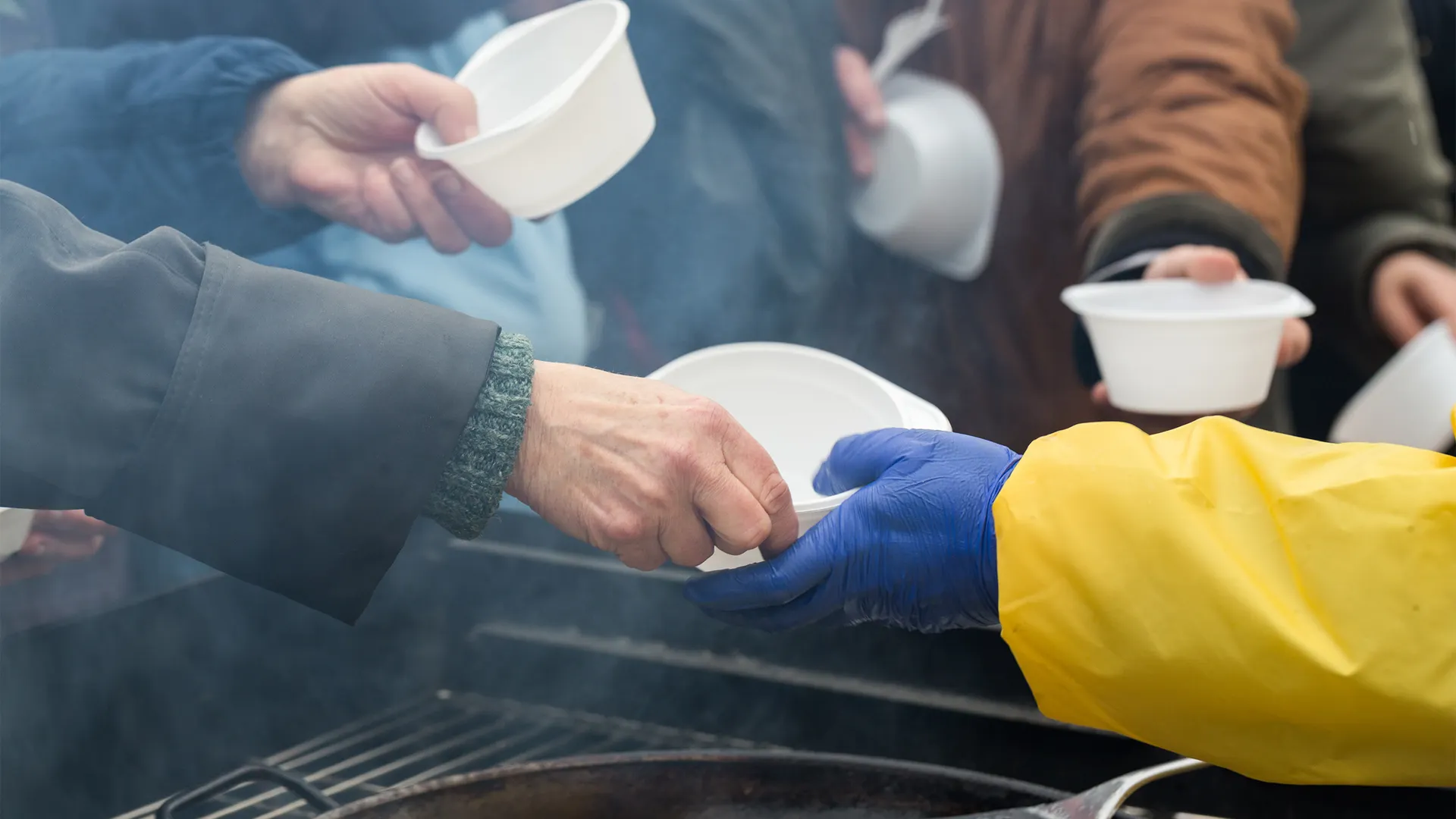 Фото: wjarek/Shutterstock.com