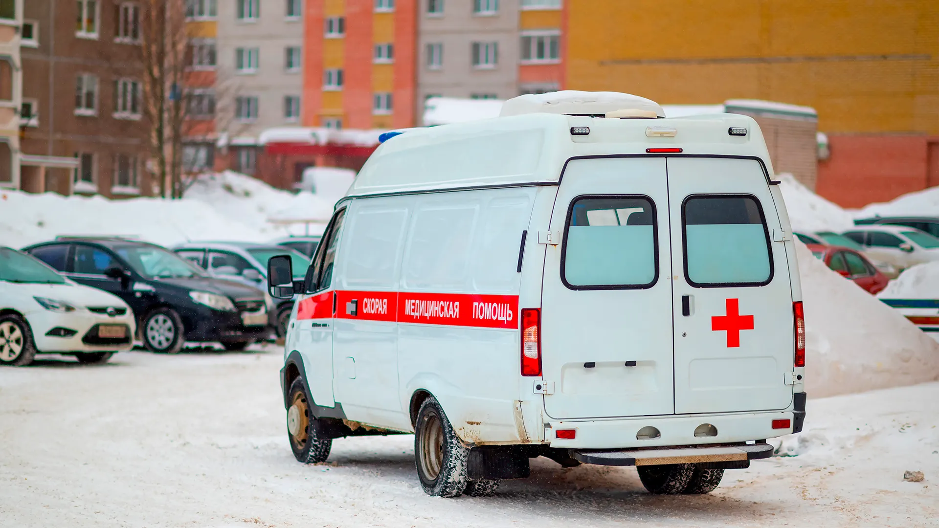 Фото: Evgenii Panov / Shutterstock.com