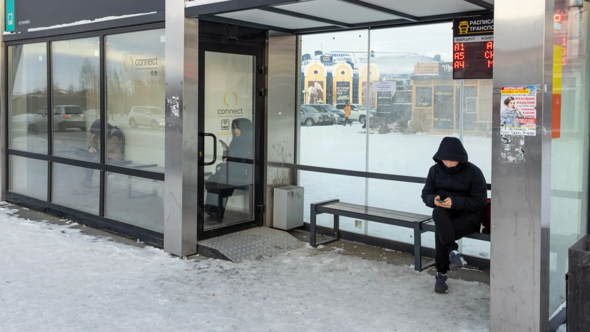 Фото: Василий Петров/«Ямал-Медиа»