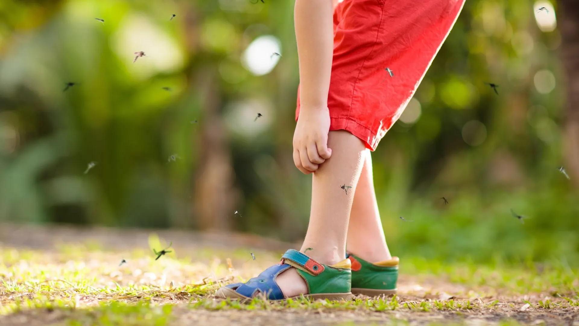 Фото: FamVeld/Shutterstock/Fotodom