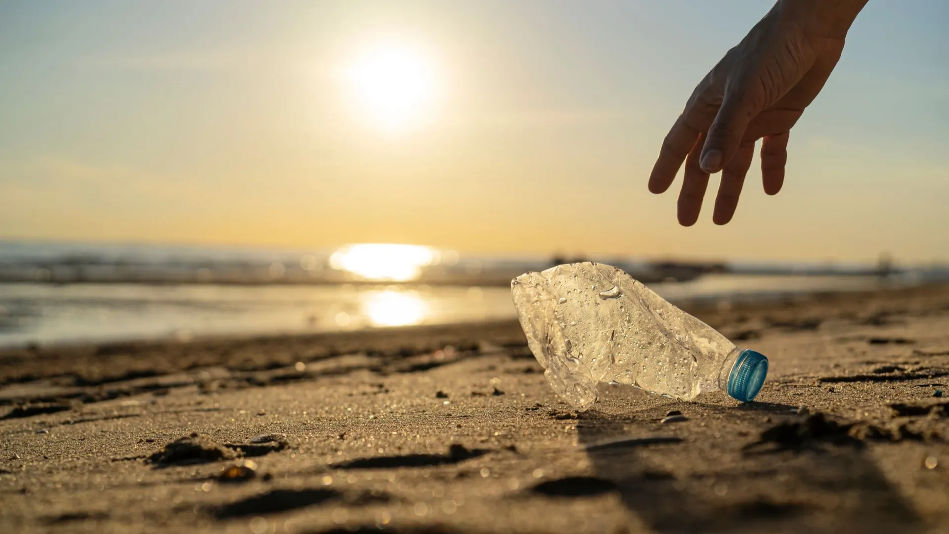 Фото: jittawit21/Shutterstock/Fotodom