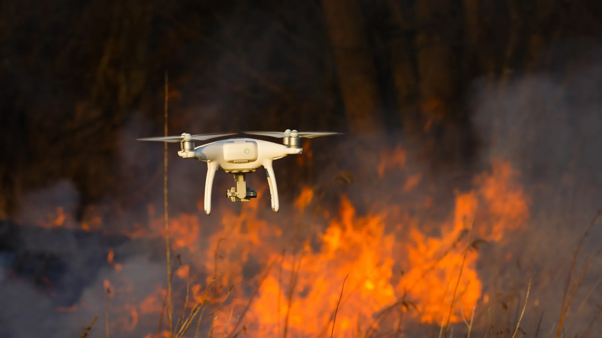 Спутники и беспилотники помогают вовремя обнаруживать очаги возгорания и тушить пожары. Но человеческий фактор пока сильнее, считает эксперт. Фото: Konstantin Tronin/Shutterstock/Fotodom