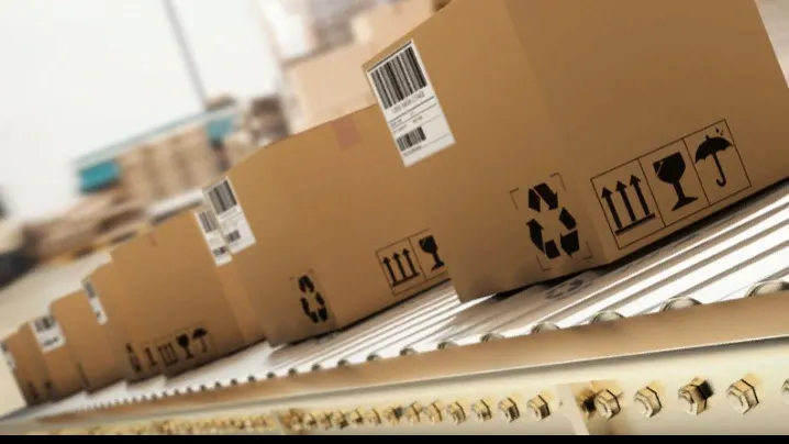 Фото: vectorfusionart/Shutterstock/Fotodom