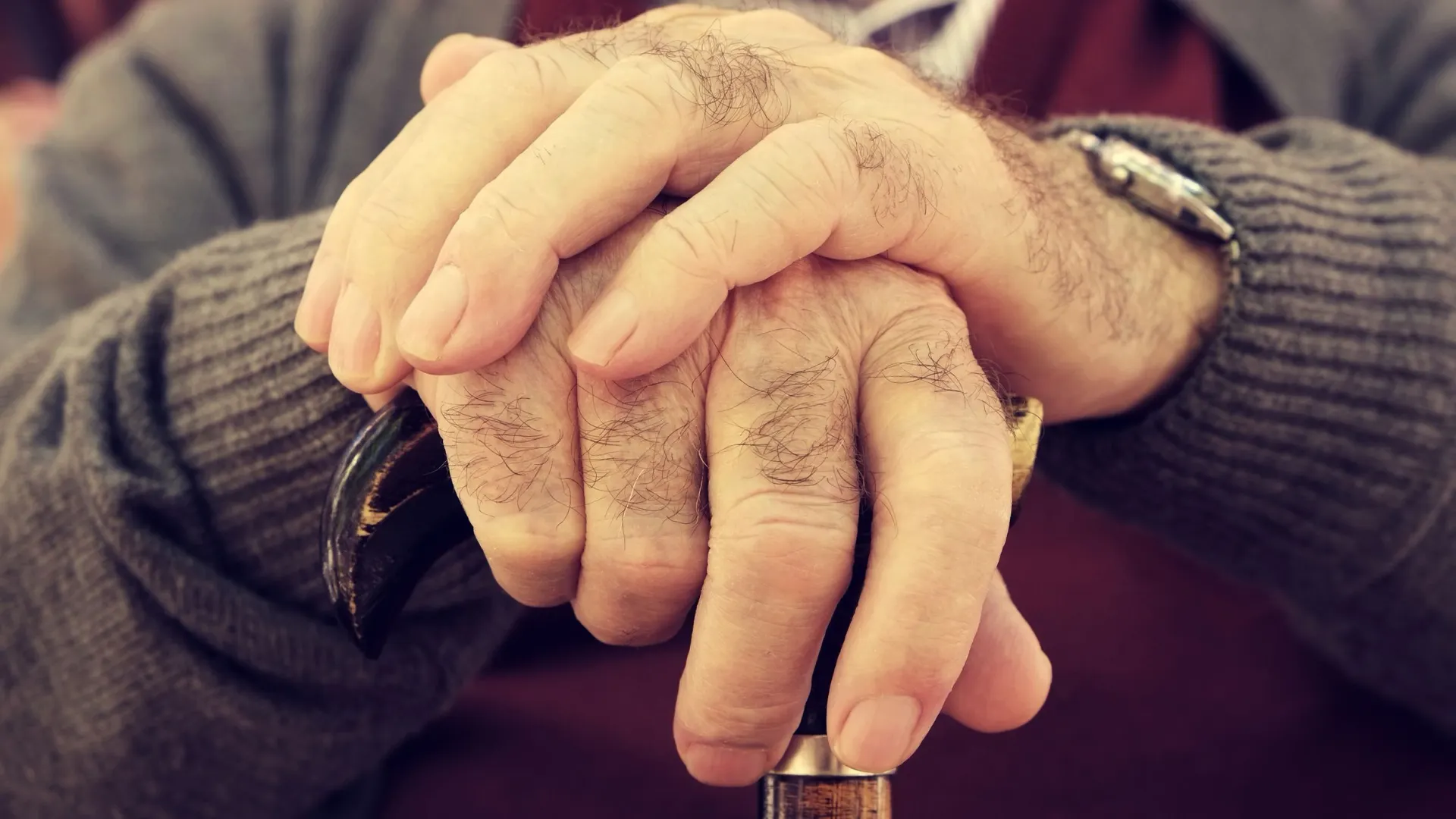 Фото: nito/Shutterstock/Fotodom