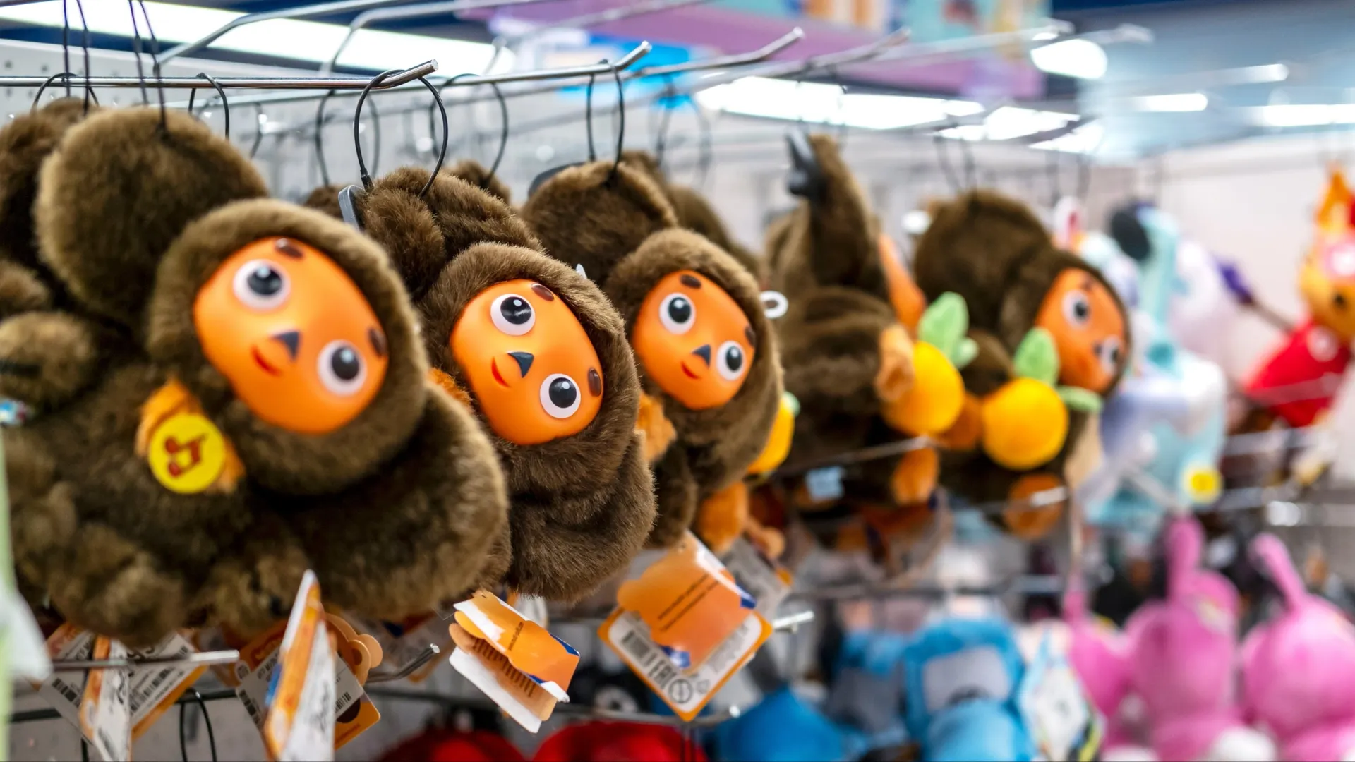 Фото: Natalya_Maisheva/Shutterstock/Fotodom