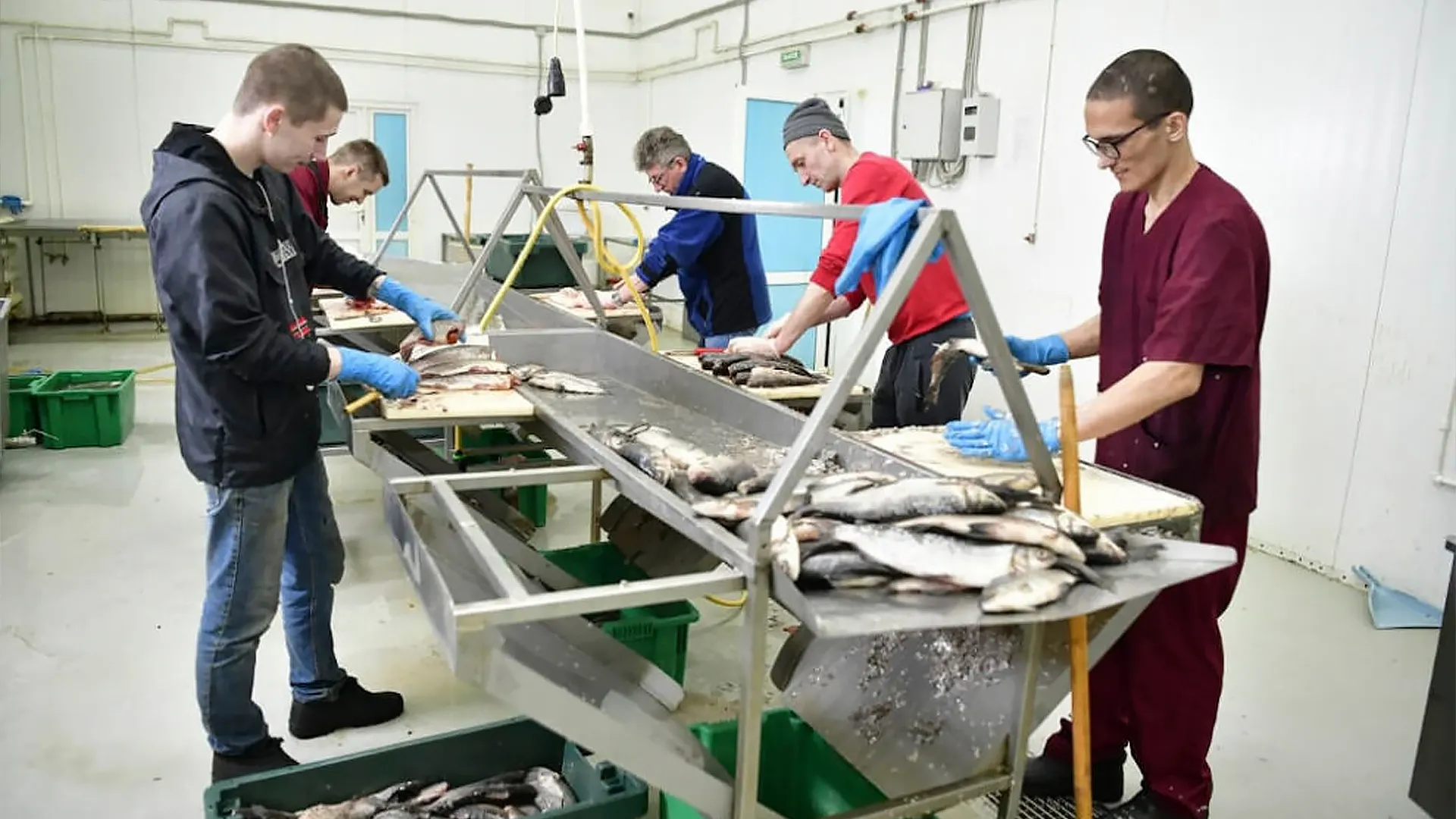 Фото: sever-press.ru