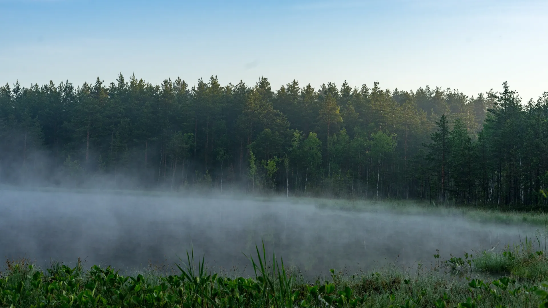 Туман над рекой предвещал грибное лето. Фото: Photoframe123/Shutterstock/Fotodom