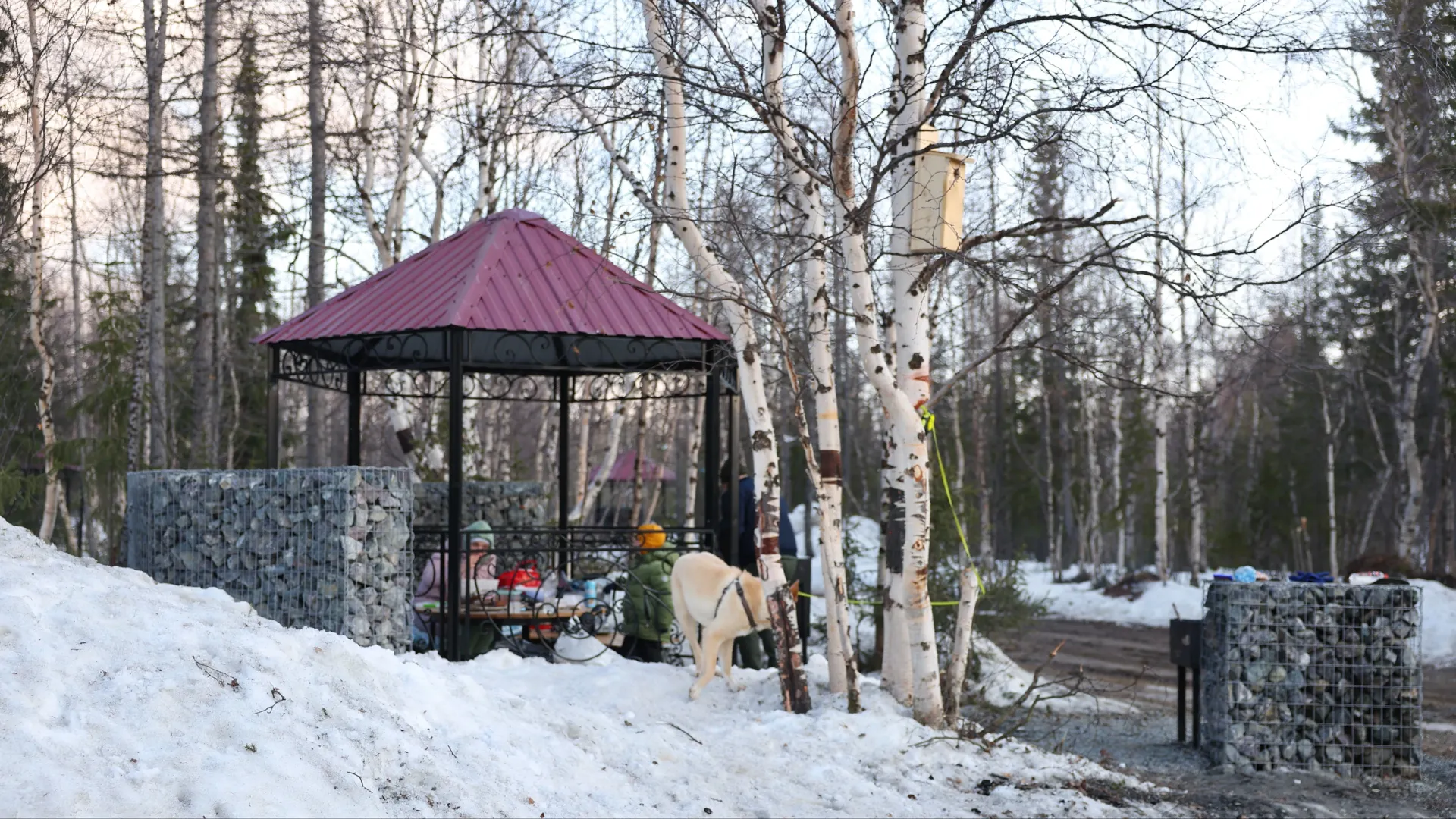 Фото: Андрей Ткачев/«Ямал-Медиа»