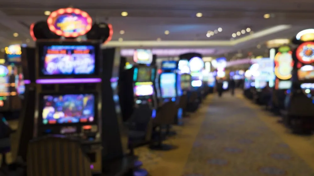 Фото: TaraPatta/Shutterstock/Fotodom