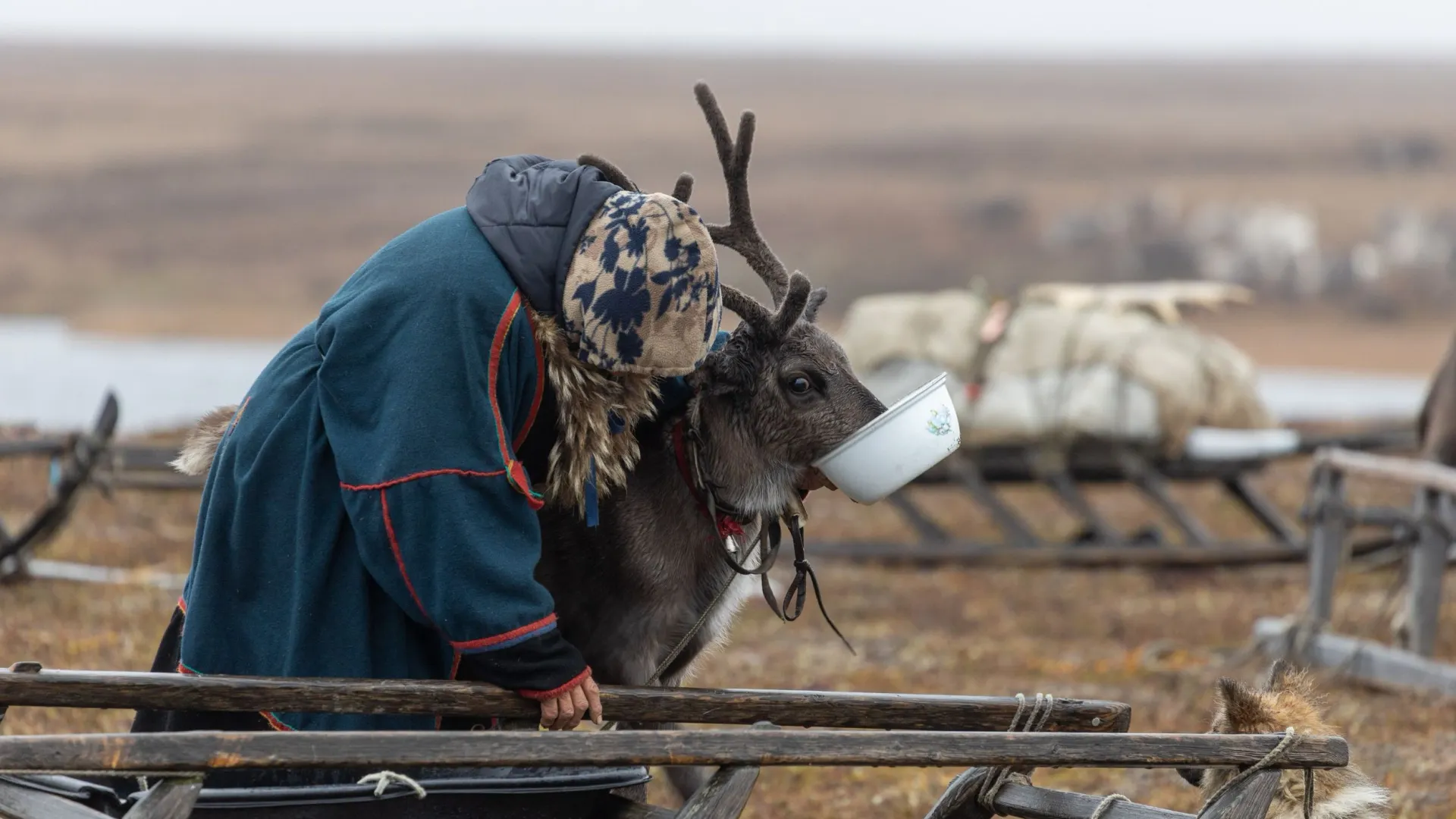 Фото: Федор Воронов/«Ямал-Медиа»