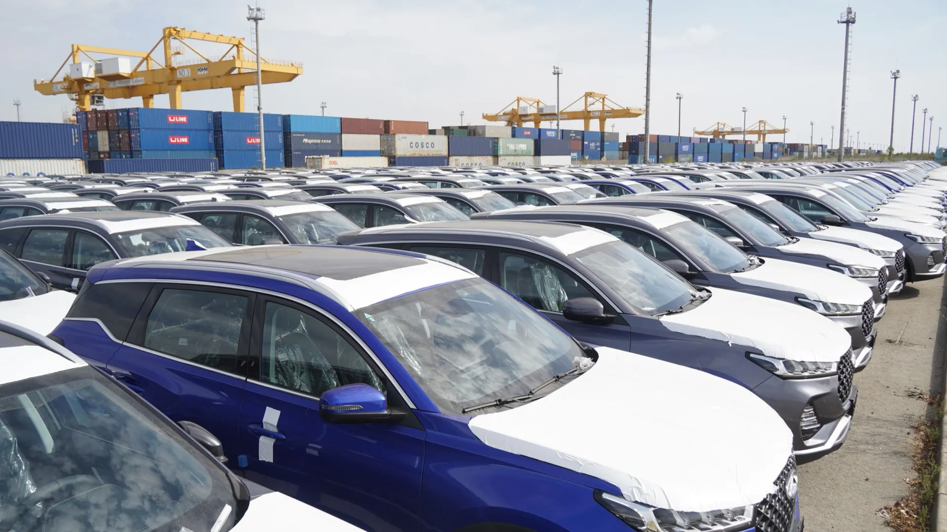 Фото: Vladimir Tretyakov/Shutterstock/Fotodom