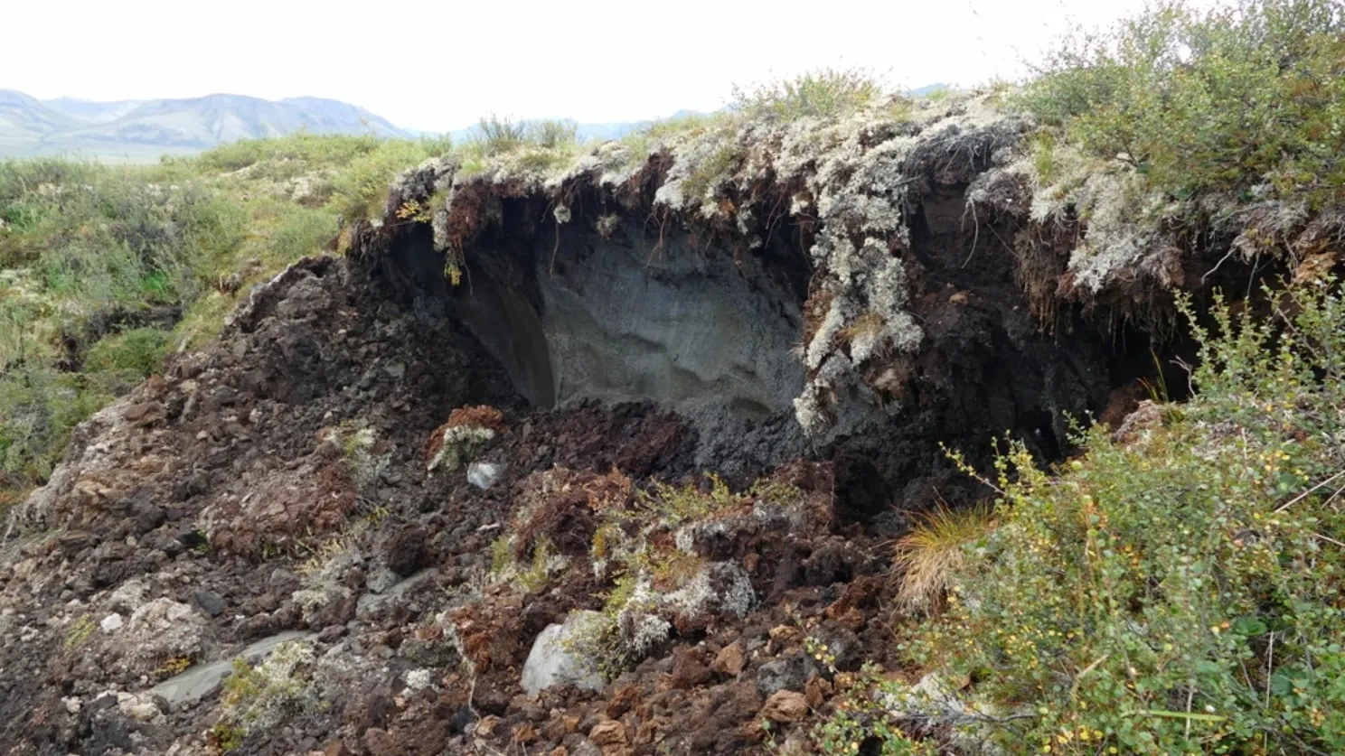 Фото: Milan Sommer/Shutterstock/Fotodom