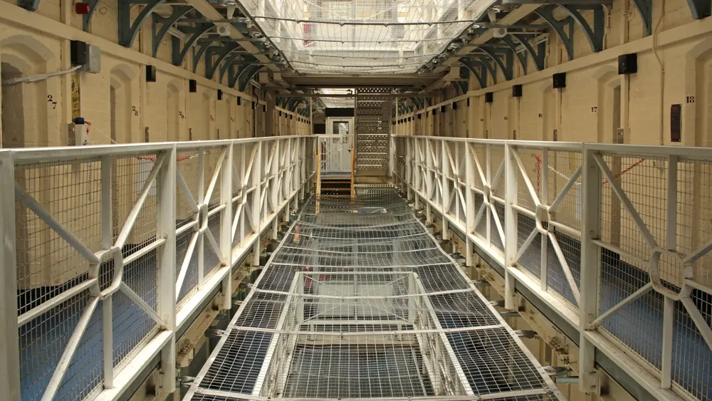 Фото: Carol Tyers/Shutterstock/Fotodom