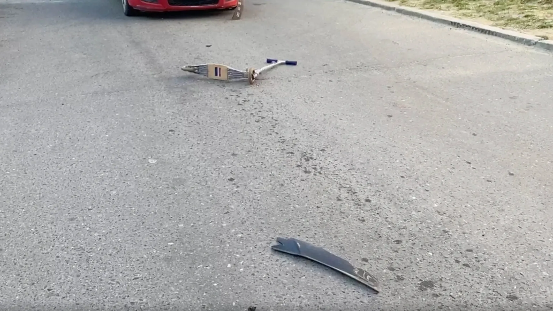 Кадр из видео: Дарья Чебоха/«Ямал-Медиа»