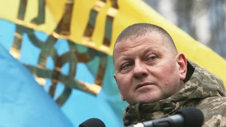 Фото: Sergey Starostenko/Shutterstock/Fotodom