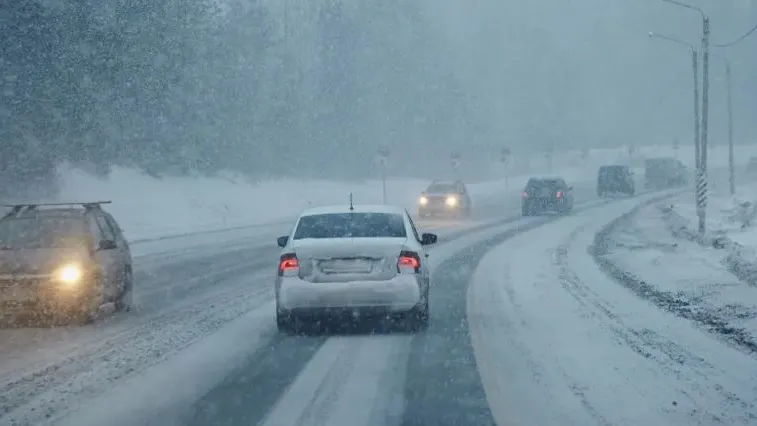 Фото: Artic_photo/Shutterstock/Fotodom