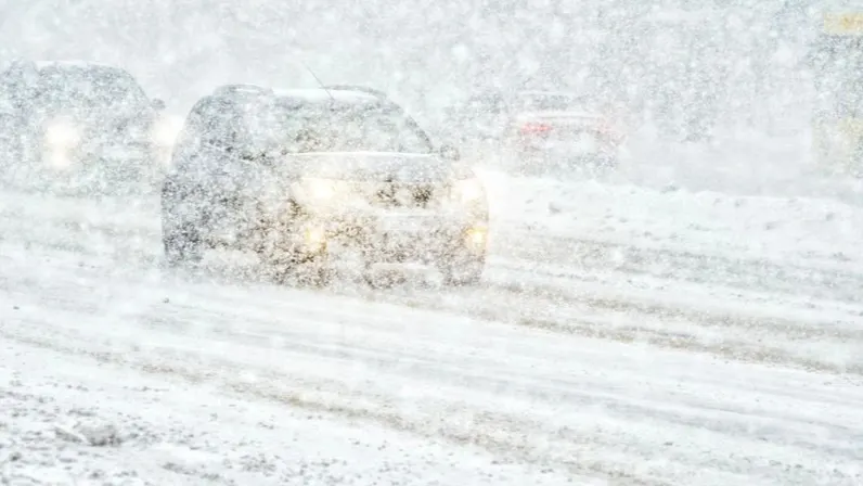 Фото: Dmitry Pistrov/Shutterstock/Fotodom