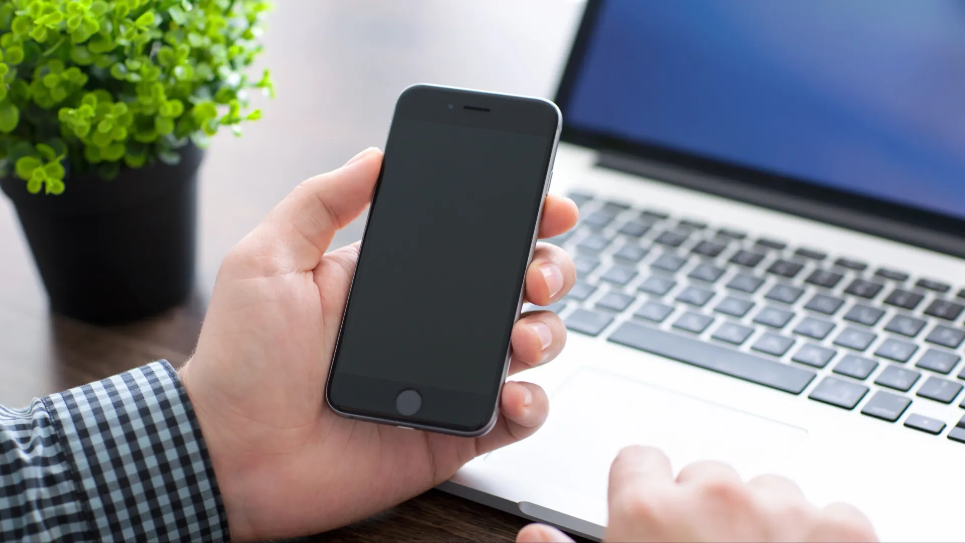 Фото: DenPhotos/Shutterstock/Fotodom