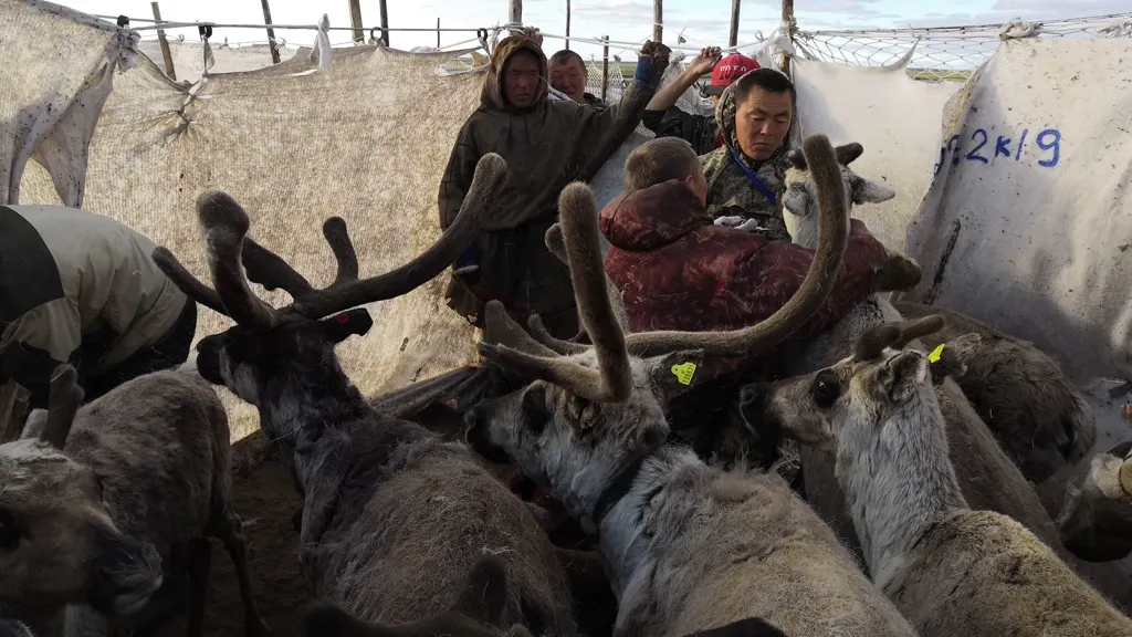 Фото: предоставлено пресс-службой правительства ЯНАО