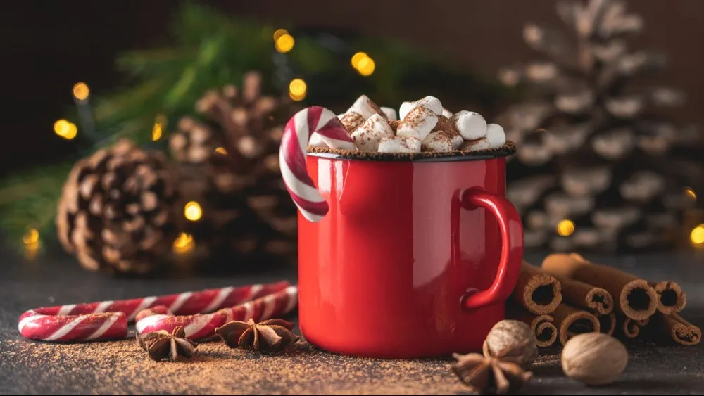 Фото: Anna Puzatykh/Shutterstock/Fotodom