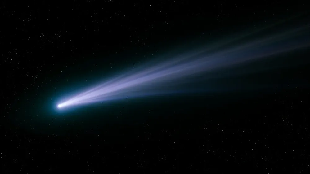 Фото: Nazarii_Neshcherenskyi/Shutterstock/Fotodom