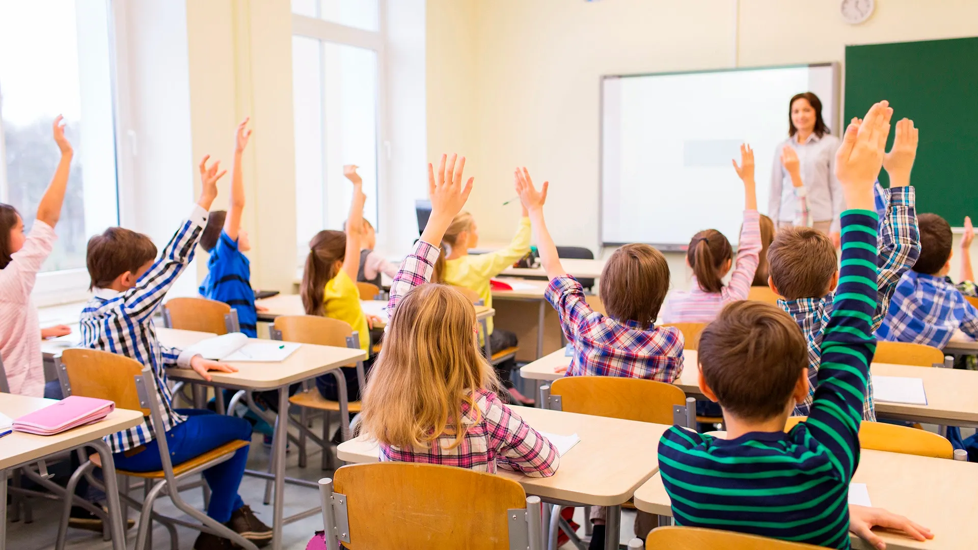 Фото: Ground Picture/shutterstock.com