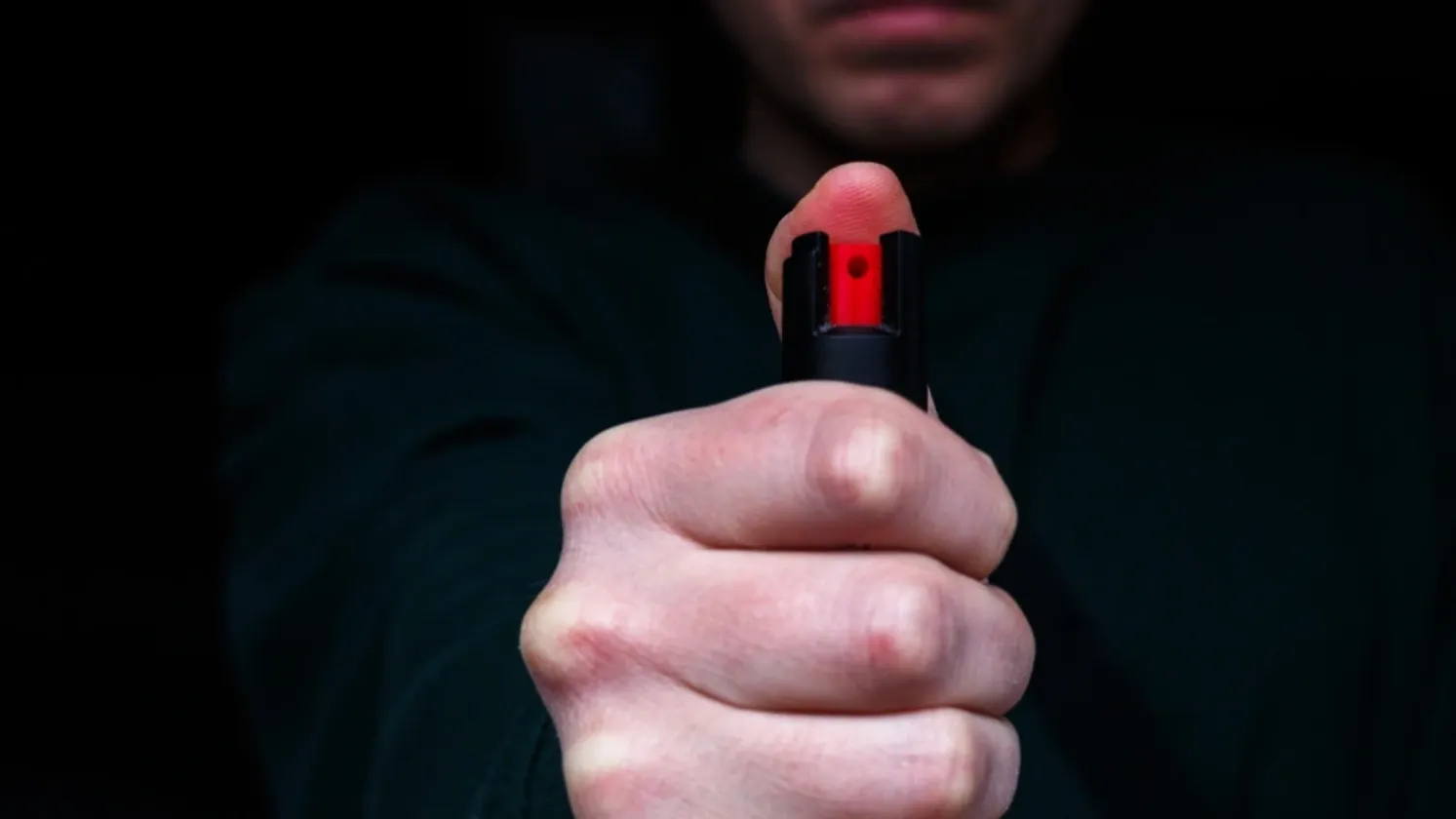 Фото: Pavlo Lys/shutterstock.com/Fotodom