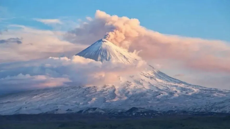 Фото: GENNADY TEPLITSKIY/Shutterstock