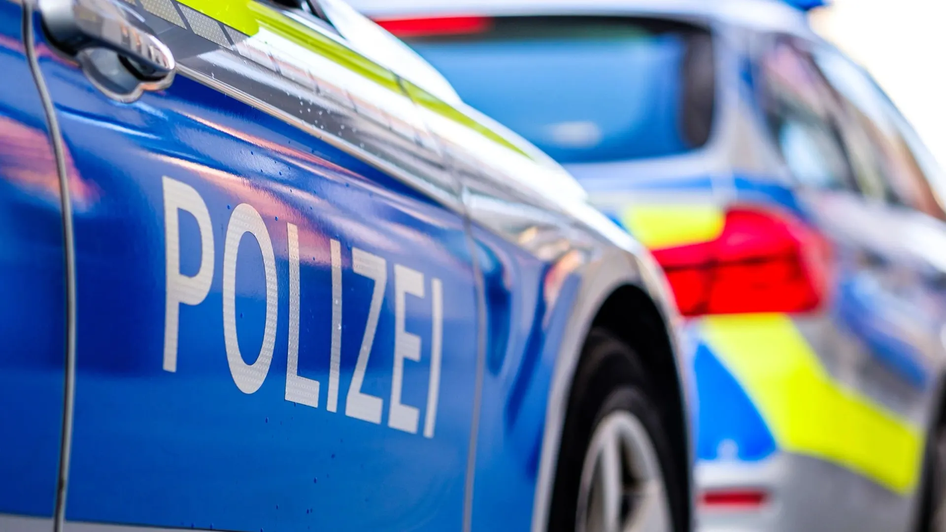 Фото: FooTToo/Shutterstock/Fotodom