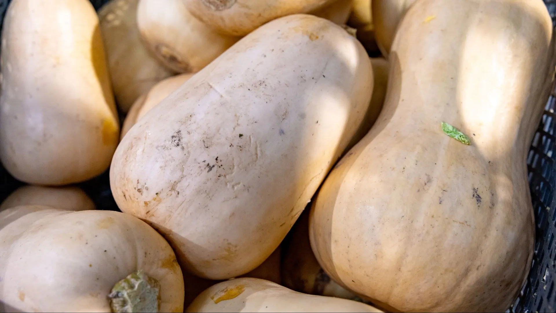 Фото: Андрей Ткачев/«Ямал-Медиа»