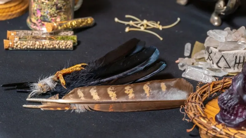 Фото: Golden Shrimp/Shutterstock/Fotodom