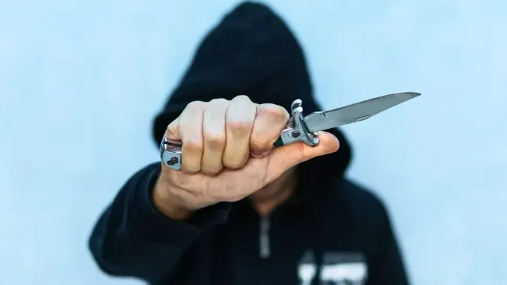 Фото: Melnikov Dmitriy/Shutterstock/Fotodom