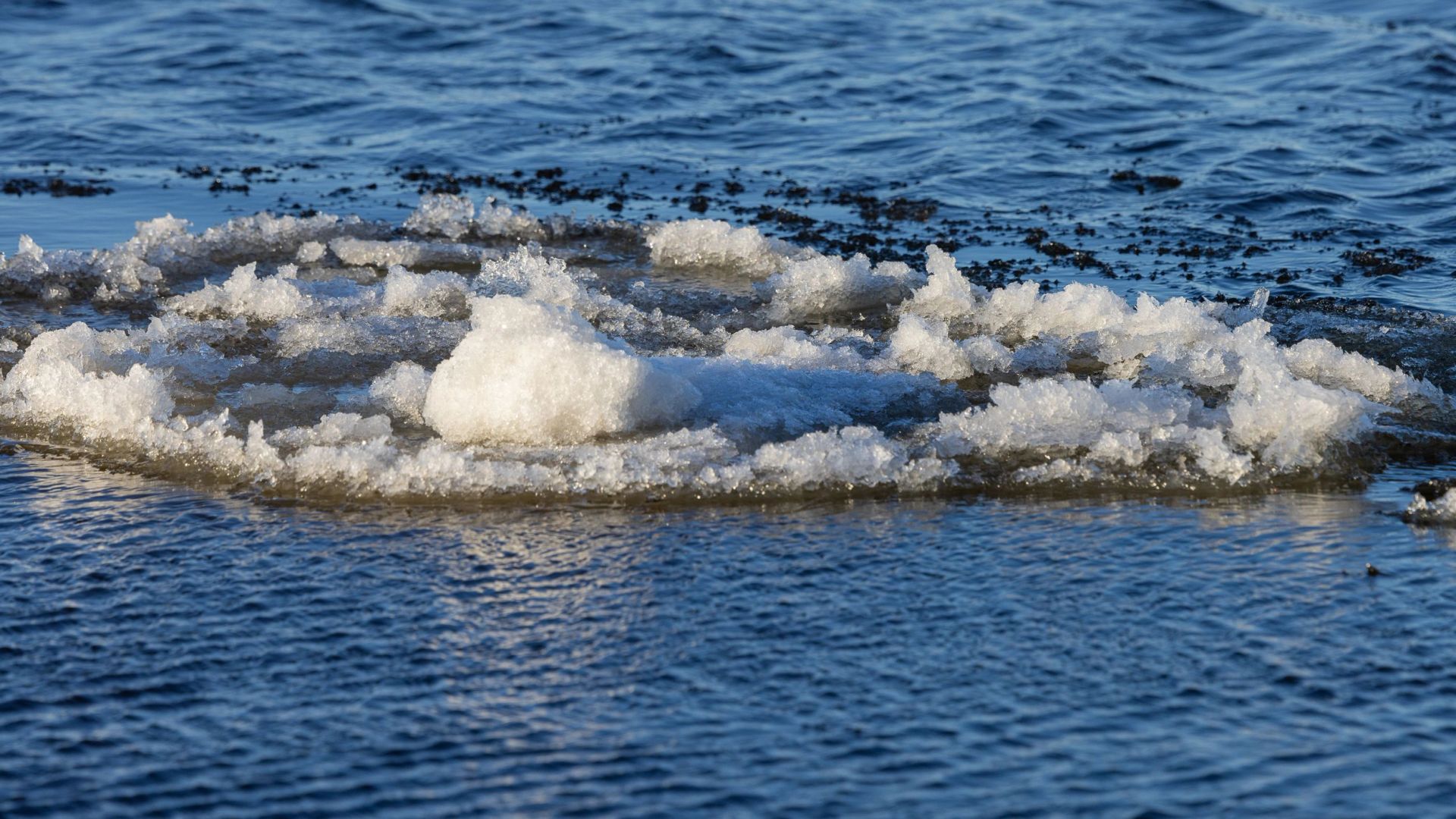 Специалисты Тюмени и Казахстана скоординировали работу по весеннему паводку