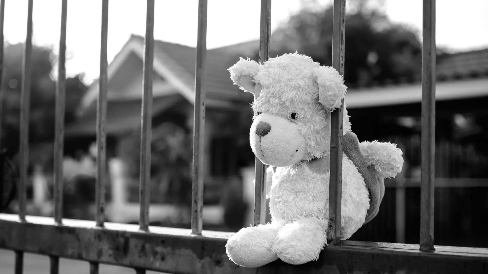 Фото: wing-wing/Shutterstock/Fotodom