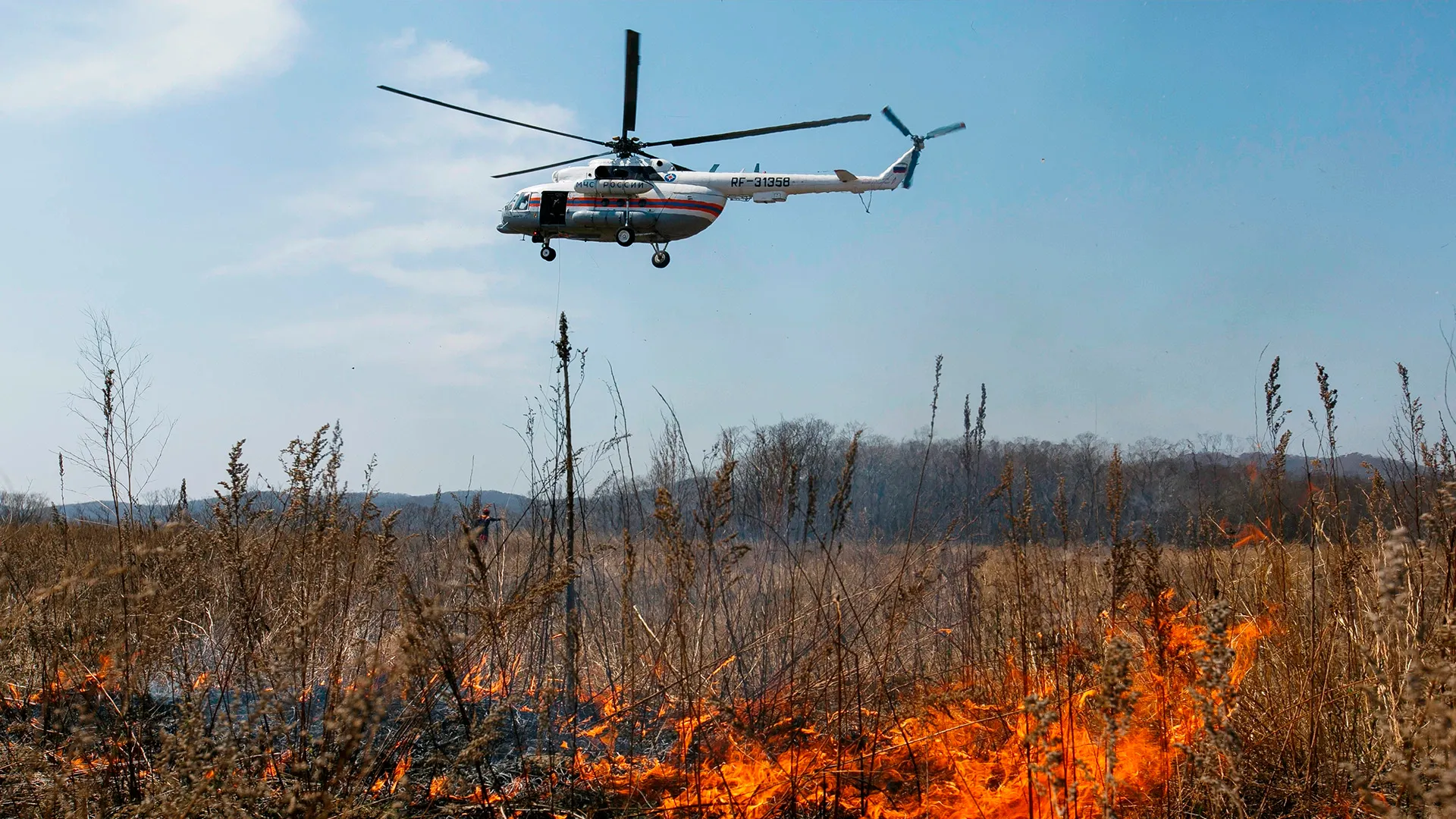 Фото: Alexander Khitrov /Shutterstock.com