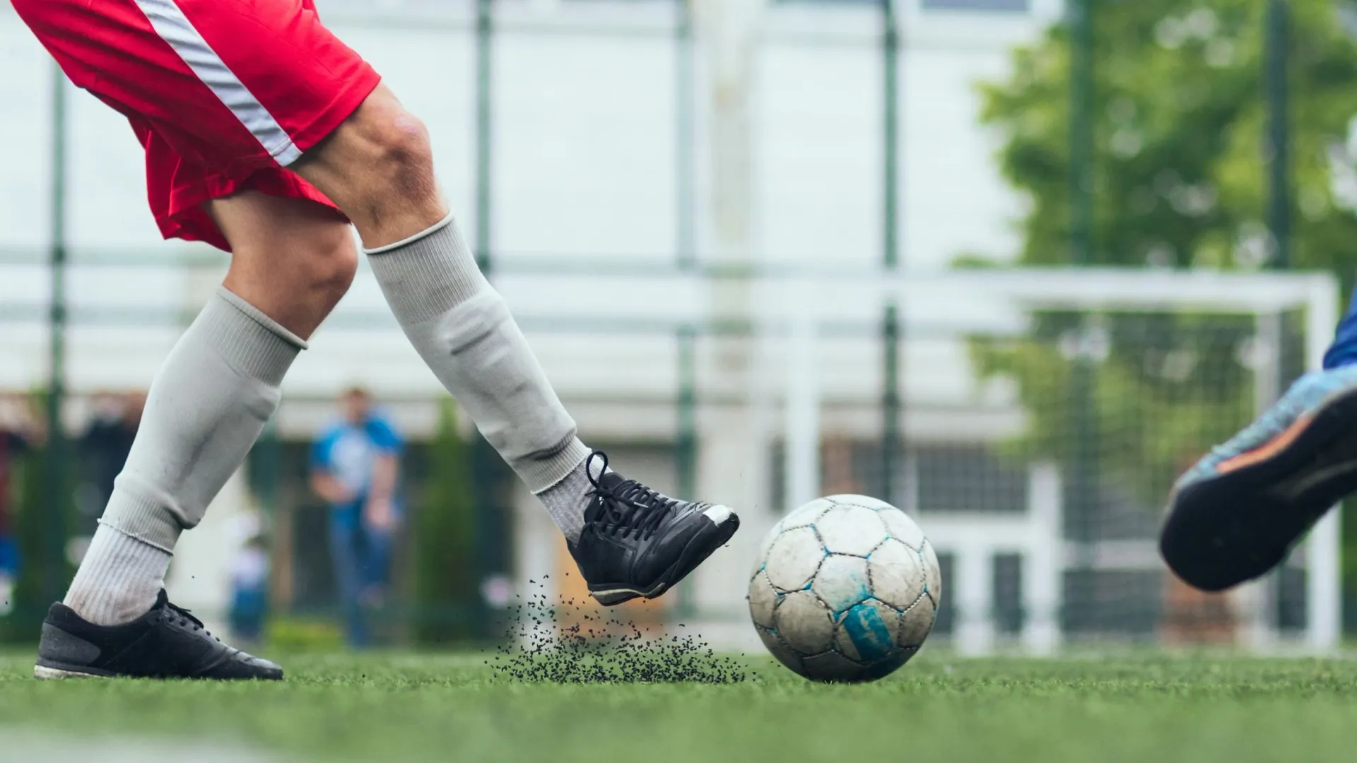 Фото: Nick Livyi/Shutterstock/Fotodom