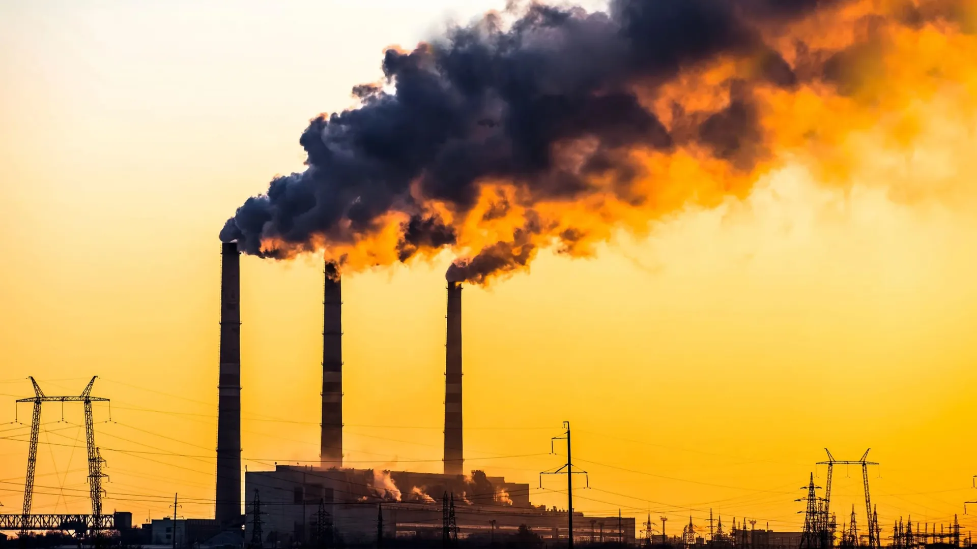 Фото: Sambulov Yevgeniy/Shutterstock/Fotodom