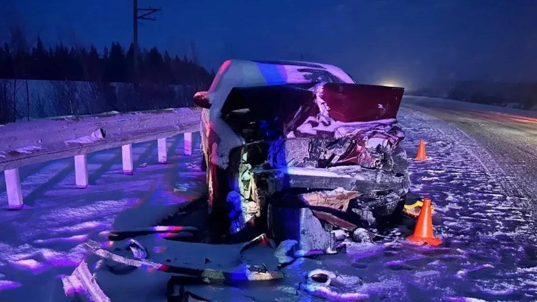 Фото: t.me/gibdd89