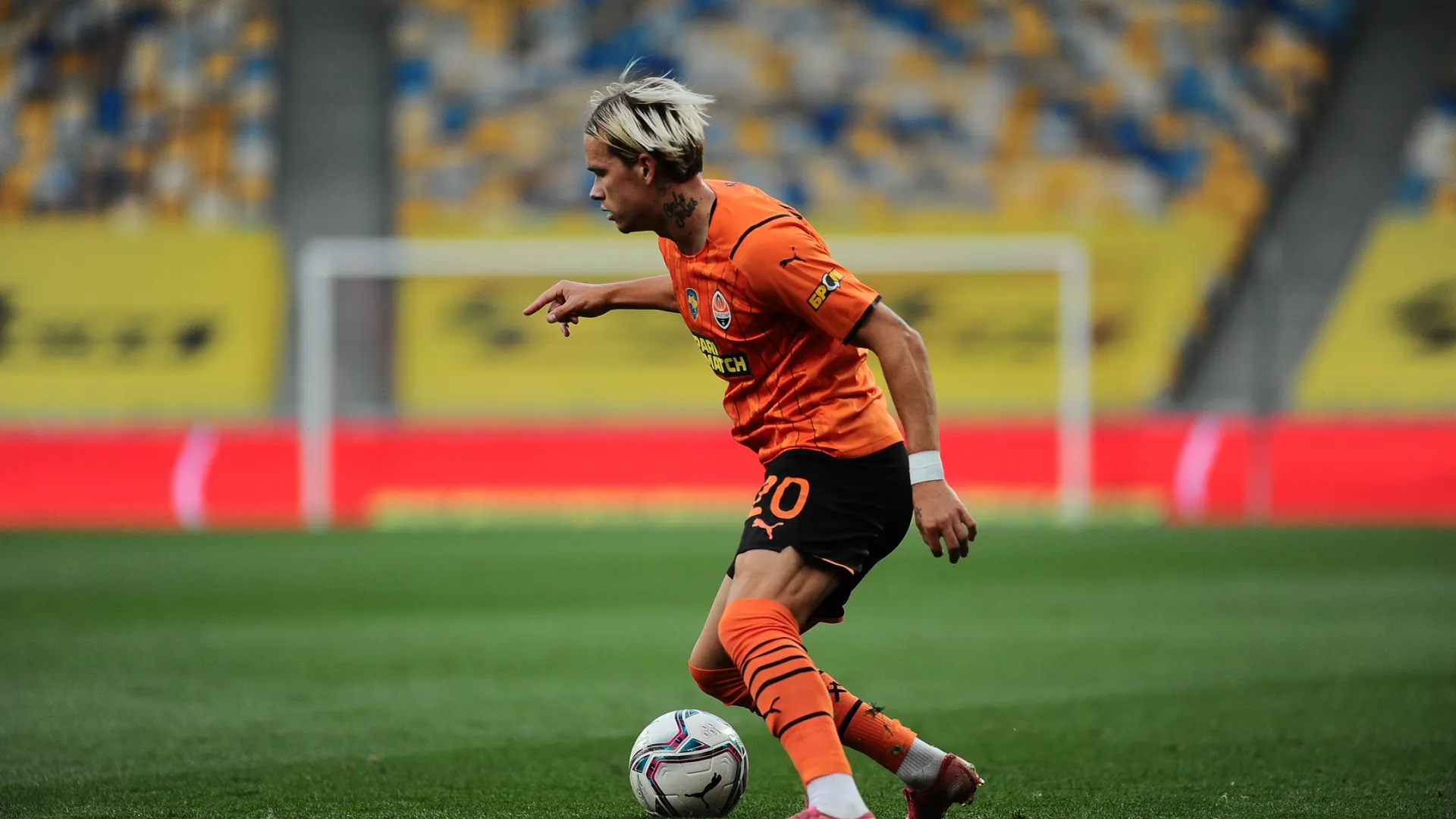 Фото: Vitalii Vitleo/Shutterstock/Fotodom